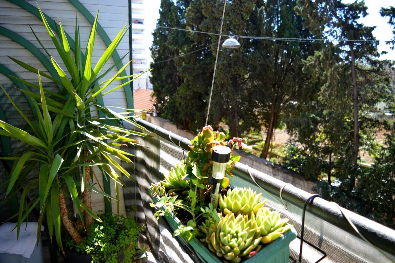 Apartmán Spacious Center Split